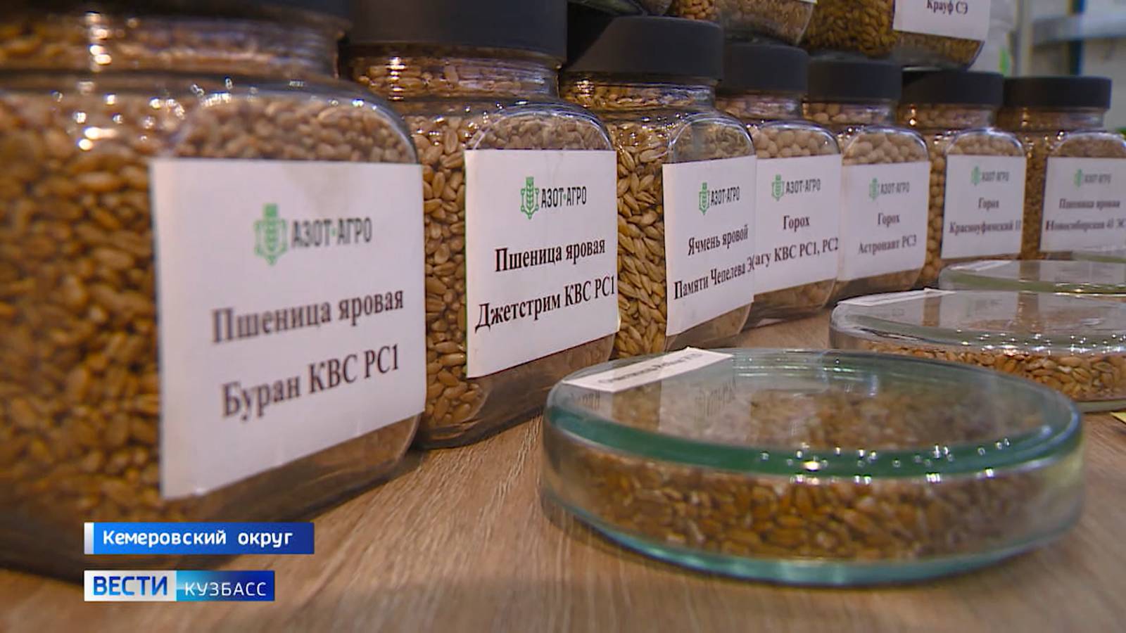 Первый в Кузбассе: в Кемеровском округе открылся селекционно-семеноводческий центр