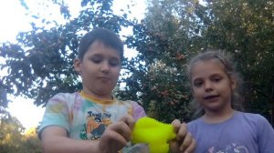 VID_20240902_023527.mp4