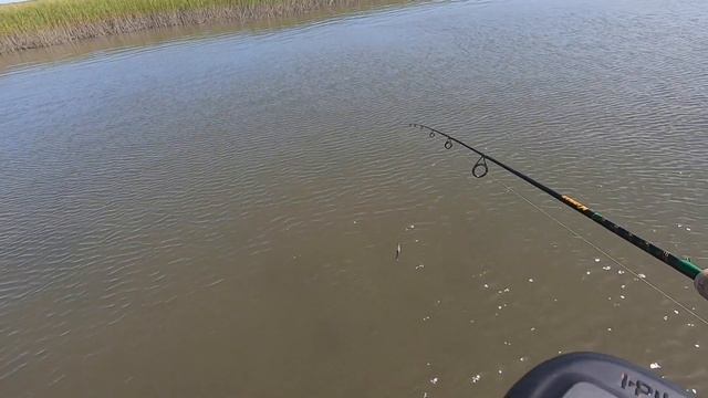 Sight fishing Inshore Shallow Water Redfish (Sight Casting Redfish North Carolina) смотреть онлайн