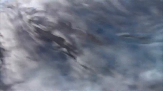 Ballena Gris - Puerto Adolfo Lopez Mateos смотреть онлайн