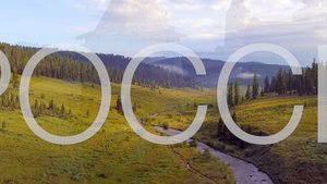 OYME ft. Hagrin ft. ШЫП ЛИЙ ft. Гарпани Солинга ft. AYAA ft. Балакирь ft. Коленкоръ - РОССИЯ