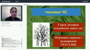 Крымское чаирное садоводство. Дмитрий Соколов