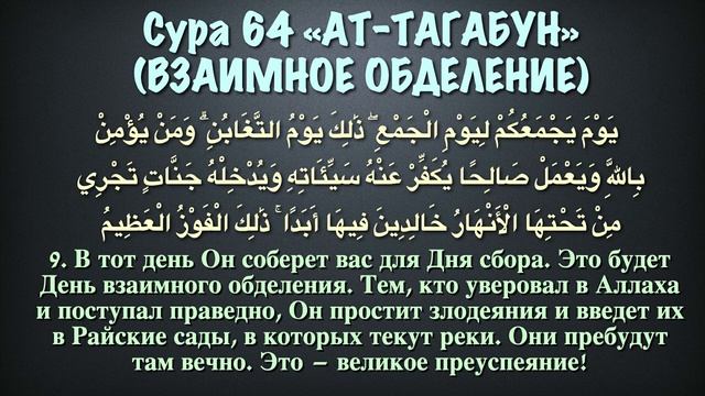 Сура 64 ат-Тагабун (арабские и русские титры) - Мухаммад Люхайдан