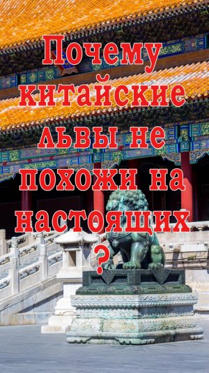 Почему китайские львы не похожи на настоящих ?