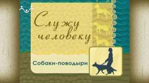 Д/ф "Служу человеку. Собаки-поводыри"