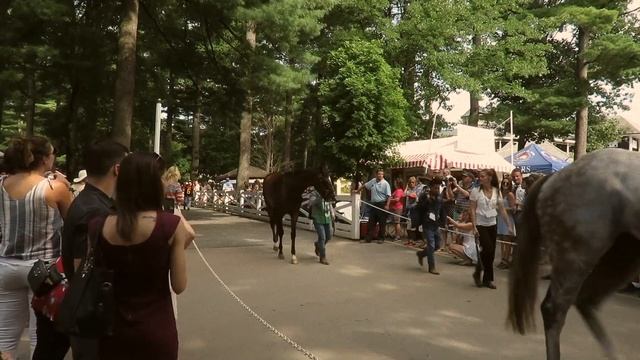 Travers Day 2018 - Saratoga Race Course смотреть онлайн