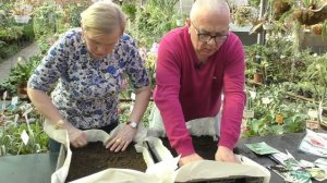 Сеем веем посеваем.