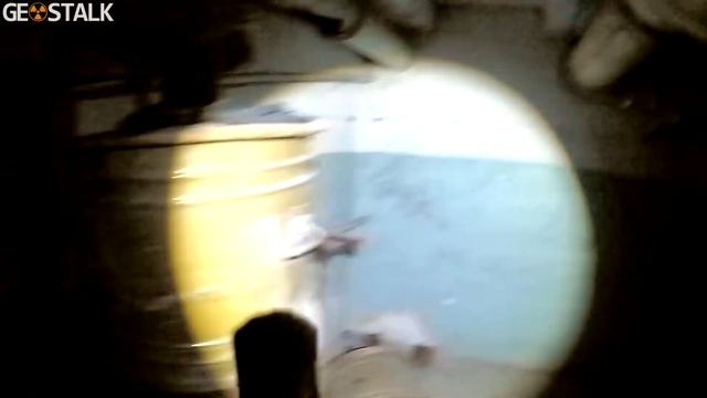 თავშესაფარი #531 смотреть онлайн