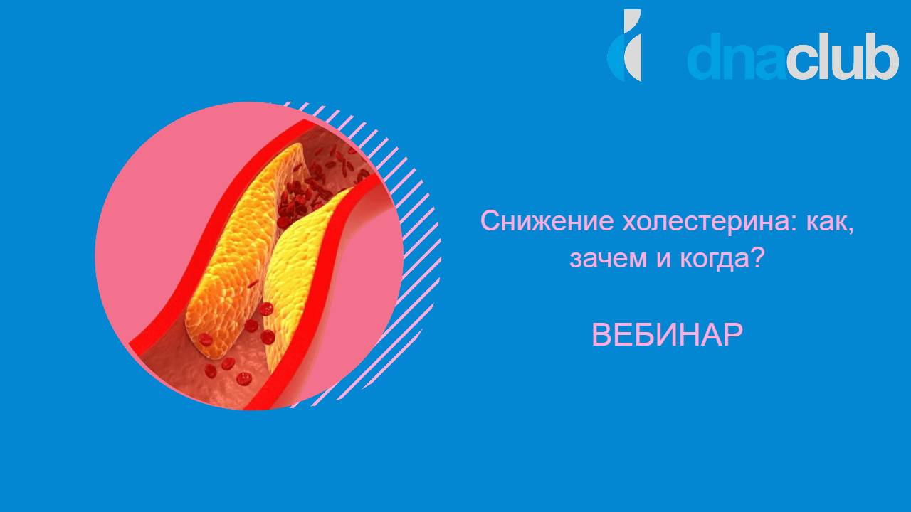 Снижение холестерина_ как, зачем и когда_