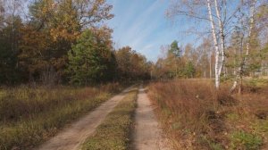 Дорога домой