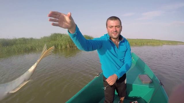 Поймал отпусти - закон Палыча! Зачем брать больше рыбы, чем ты можешь съесть
