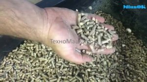 Гранулятор GRAND-150 работа на опилках и тырсе