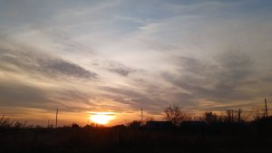 Строим дом из арболита. Выпуск №16