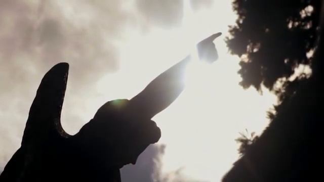 Наташа Колесар Человек, который сажал дубы