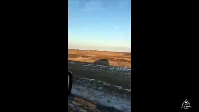 Негабаритные перевозки