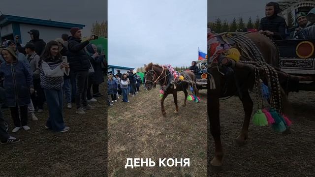 День коня - праздник в Татарстане.mp4