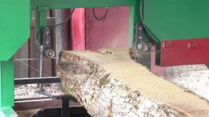 Пилорама ленточная ЛПБ-24 (бензиновый двигатель 24 л.с.)