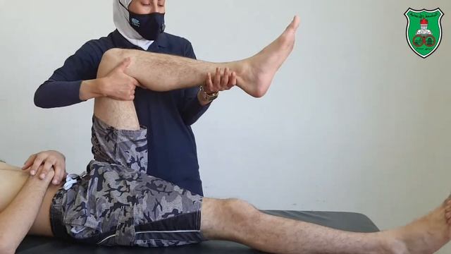 ROM Hip Internal and External Rotation смотреть онлайн