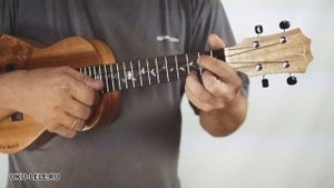 Электро-укулеле для эстетов - концерт TOM JYY-C1E | Обзор от Укулеле.ру