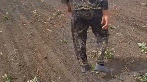 Запуск культиватора SOLAR FIELDS КС-12(М)