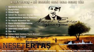 Neşet Ertaş - Seher Vakti Çaldım Yarin Kapısın