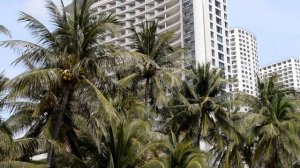 Вьетнам Нячанг погода 21 января 2024 года - Сегодня на центральном пляже