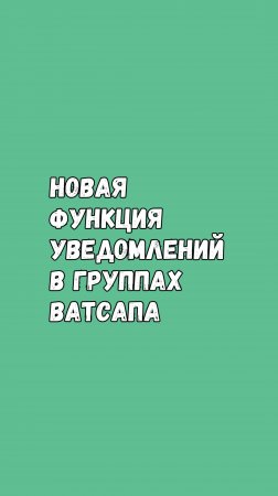 Новая Функция Уведомлений В Ватсап-Группах