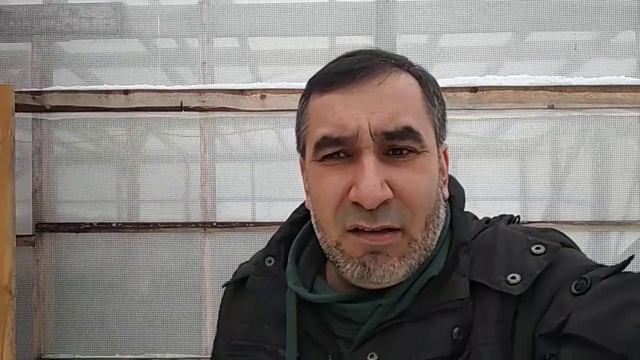 #куры #куропатки #козы #мулларды смотреть онлайн