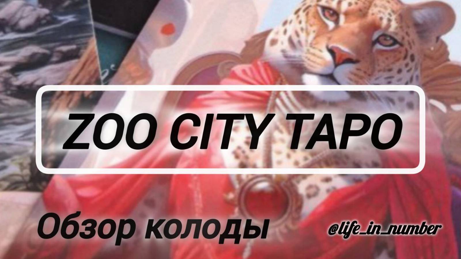 ТАРО ZOO CITY от @StoreTaro  + РАСКЛАД