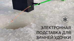 Электронная удочка
