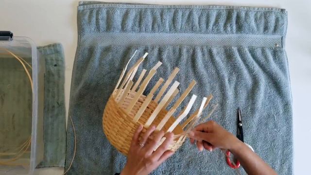 Beginner Basket Weaving Technique: Continuous Weave