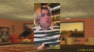 Sonic's reaction to the discord memes (Garry's mod animation)