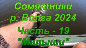 Сомятники: р. Волга 2024. Часть - 19. "Малыши".