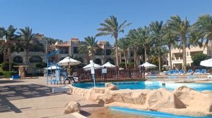 Rehana Royal beach5. утро у бассейна.