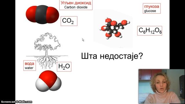 Izokrenuta učionica -- Fotosinteza смотреть онлайн