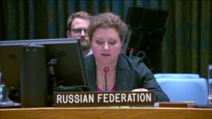 Statement by Deputy Permanent Representative Anna Evstigneeva at a UNSC Briefing on the DRC