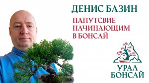 Доклад Дениса Базина о бонсай на первой встрече клуба Урал Бонсай в Екатеринбурге