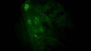 Airsoft by Night (Night Vision View)