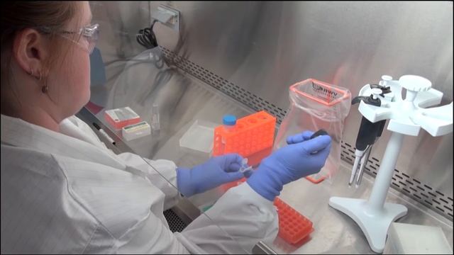 Smartphone Microscope 2017 FLC Award смотреть онлайн