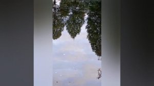 Почему люди при переписке в соцсети просят интимные фотографии?