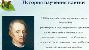 Роберт Гук и его достижения