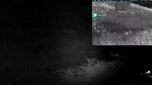 Pard nv007v 940nm vs Iray Zh50 test.