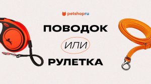 Что выбрать для питомца: поводок или рулетку? ?