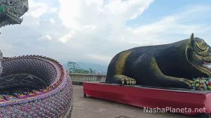 Храм на горе Wat Phrathat Doi Khao Kwai в Чианграе