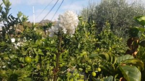 Вот так и живем.