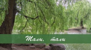 Талы, талы. Татар халык жыры. Жырнын сузлэре видео астында.