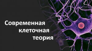 Современная клеточная теория