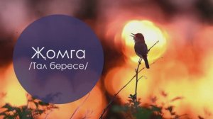 Җомга (Тал бөресе). Татар халык жыры. Жырнын сузлэре видео астында.