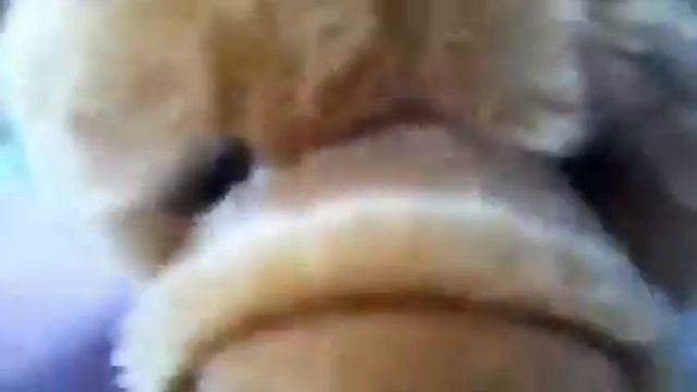 Signature laughs! - Part 2! смотреть онлайн