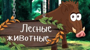 ДИКИЕ ЖИВОТНЫЕ В ЛЕСУ 🐺🦊 Учим животных - развивающие мультики для малышей про животных н